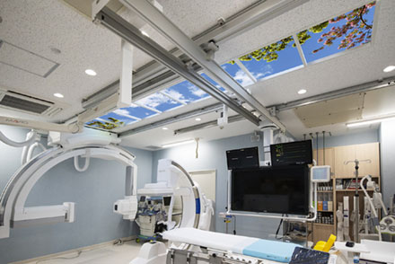 Showa University Hospital - Angiography