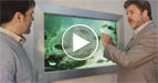 ēSea Virtual Aquarium Introductory Video