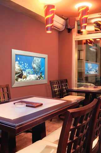 eSea Virtual Aquarium in a restaurant