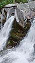 Mountain Waterfall with Water Ouzels, Wyoming